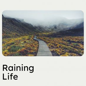 Download track Gentle And Soothing Rain, Pt. 4 Rain FX