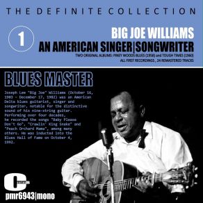 Download track Yo Yo Blues (A Levee Camp Moan) (Remastered) Big Joe Williams