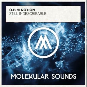 Download track Still Indescribable (Original Mix) O. B. M Notion