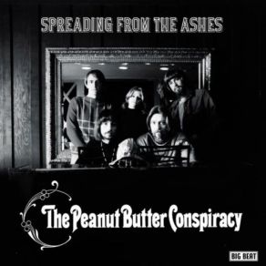 Download track Shuffle Tune Peanut Butter Conspiracy