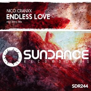 Download track Endless Love (Intro Mix) Nico Cranxx