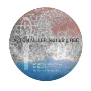 Download track All The Little Things (ReeDub) Alton Miller, Ree