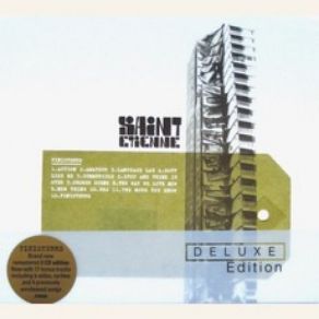 Download track Queen Of Polythene Saint Etienne, Sarah Cracknell