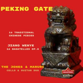 Download track 午後的胡琴 Erhu Agustín Maruri, Michael Kevin Jones