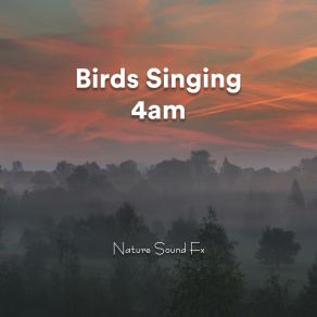 Download track 4am Birds Singing Pt. 35 Nature Sound Fx