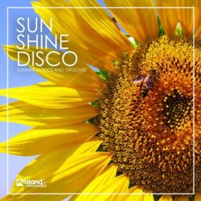 Download track Shine (Original Mix) Gosha, Matvey Emerson, Alex Hook