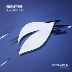 Download track Chasing Hope (Original Mix) Nugsupreme