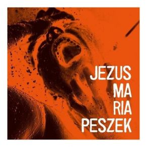 Download track Nie Ogarniam Maria Peszek