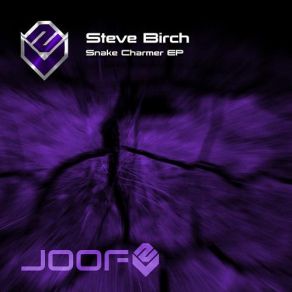 Download track Snake Charmer (Original Mix) Steve Birch