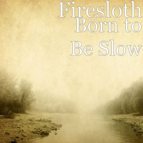 Download track Born To Be Slow (Radio Edit) Firesloth