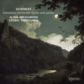 Download track Fantasy In C Major, D 934 - 4. Tempo I - Allegro Vivace Franz Schubert