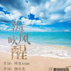 Download track 海风吹醒 (伴奏) Zhang Jun