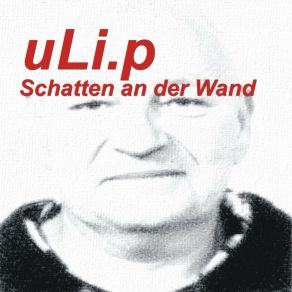 Download track Ich Hör Der Stimme Zu ULi. P