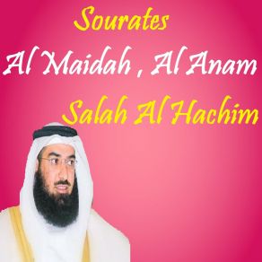 Download track Sourate Al Anam, Pt. 2 (Quran) Salah Al Hachim