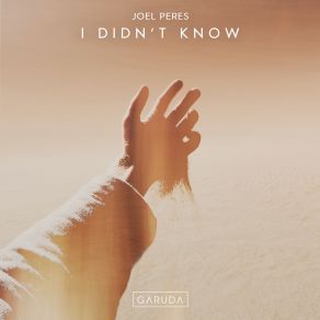 Download track I Didn't Know (Extended Mix) Joel Peres