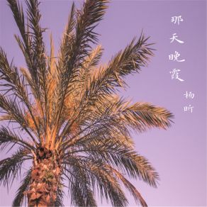 Download track 宠爱 杨昕