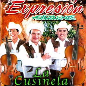 Download track Una Rosa Y Una Espina Trio Expresion Hidalguense