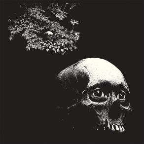 Download track Scum Show Osees, Osees (Thee Oh Sees)