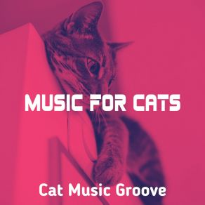 Download track Heavenly Ambience For Training Your Cat Cat Music Groove