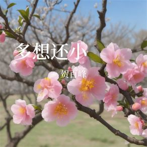 Download track 多想还小 贺百峰