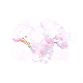 Download track Flowers (Slowed) X4mdy