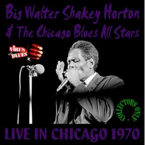 Download track Chicago Boogie Walter Horton, The Chicago Blues All Stars