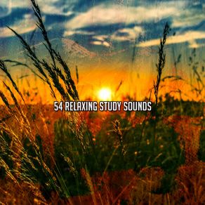 Download track Find Your Soul Massage Therapy Music