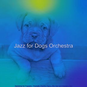 Download track Sensational Smooth Jazz Saxophone - Vibe For Dog Walking Jazz For Dogs Orchestra