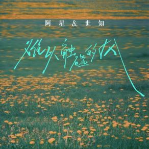 Download track 难以触碰的风 (伴奏) 世知