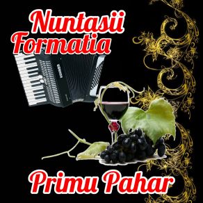 Download track Hai Mindra Formatia Nuntasii