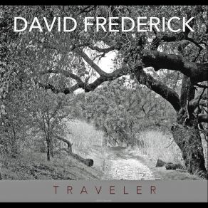 Download track And Softly She Said David Frederick