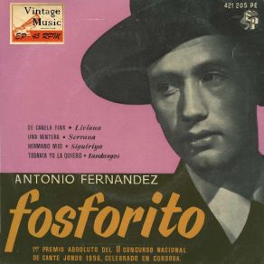 Download track Todavía Yo La Quiero (Fandangos) Fosforito