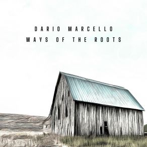 Download track You Are Lying Dario Marcello