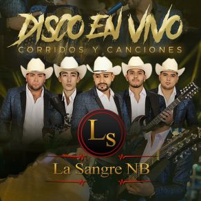 Download track Si Tu Amor No Vuelve (En Vivo) La Sangre NB