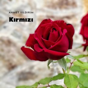 Download track Kırmızı Ahmet Yıldırım