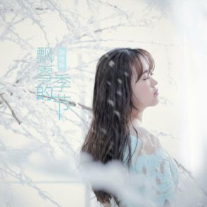 Download track 飘雪的季节 Liu Zeng Tong