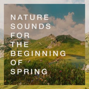 Download track Awakening Of Nature Echoes Of Nature