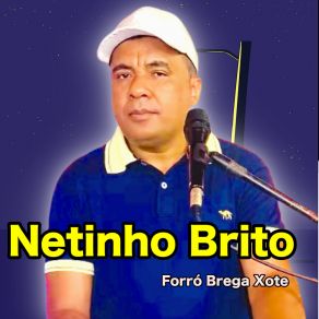 Download track Seu Novo Amor Netinho Brito