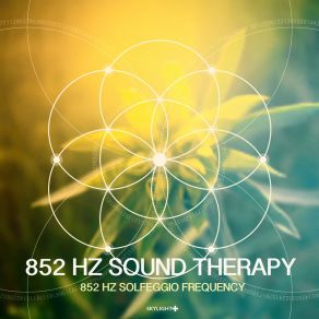 Download track 852 Hz The Power Of Acceptance 852 Hz