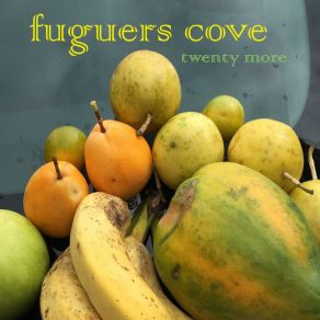 Download track Birdlife Fuguers Cove