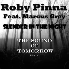 Download track Slender In The Night (Club Mix) Marcus Grey