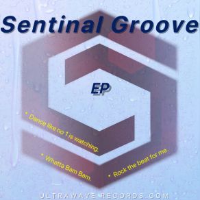 Download track Dance Like No 1 Is Watching. Sentinel Groove