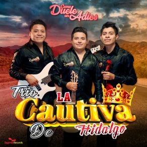 Download track La Razón Trio La Cautiva De Hidalgo