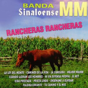 Download track Cuando Lloran Los Hombres Banda Sinaloense MM