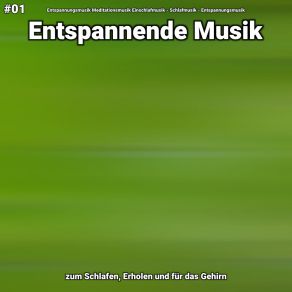 Download track Entspannende Musik Teil 69 Entspannungsmusik