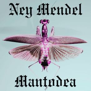 Download track M​đ​æ​l​ə​nå Ney Mendel