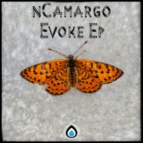 Download track Composure (Original Mix) NCamargo