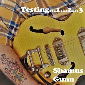 Download track Stick Swinging Incident Shamus Gunn