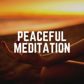 Download track Sweet Spa Meditations Ambient Music Therapy