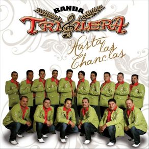 Download track Te Quiero Te Amo Y Te Extraño Banda Triguera